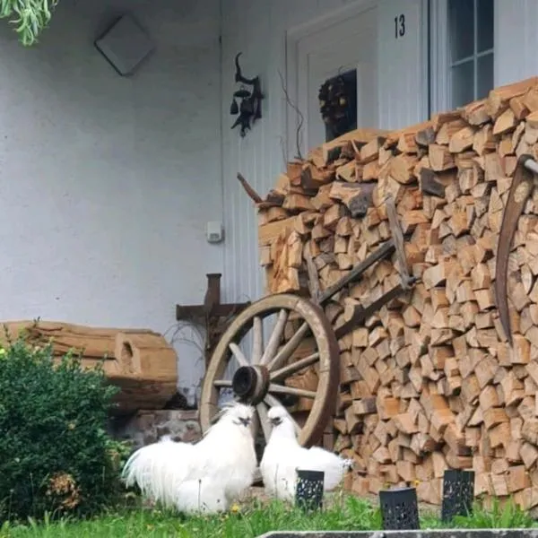 Cozy and quite apartment near Black Forest，位于舍姆贝格的酒店