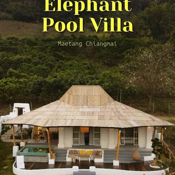 Elephantpoolvilla maetang Chiangmai，位于เชียงใหม่的酒店