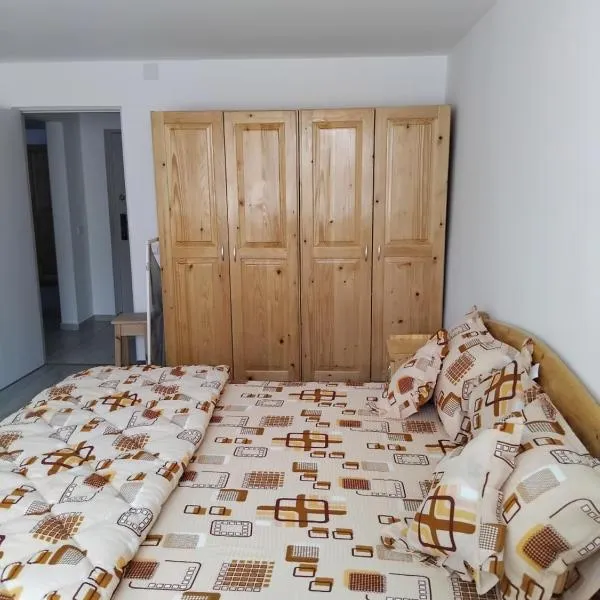 Apartament Rusu，位于Pîrscov的酒店