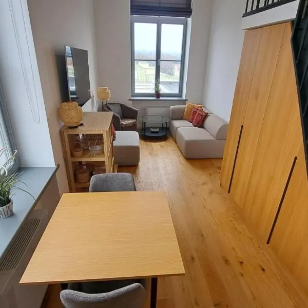 KaunasInn Loft，位于考纳斯的酒店