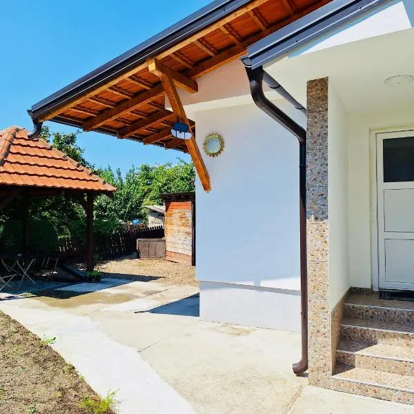 Apartman Radulovic，位于内戈廷的酒店