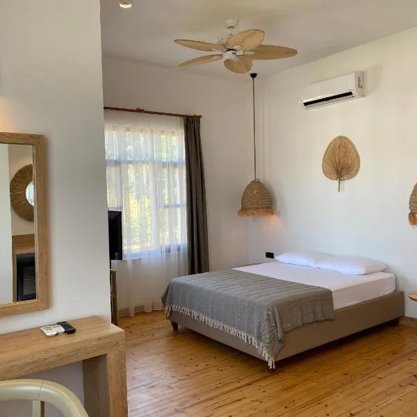 Casa Vagabundo Boutique Hotel，位于阿拉尼亚的酒店