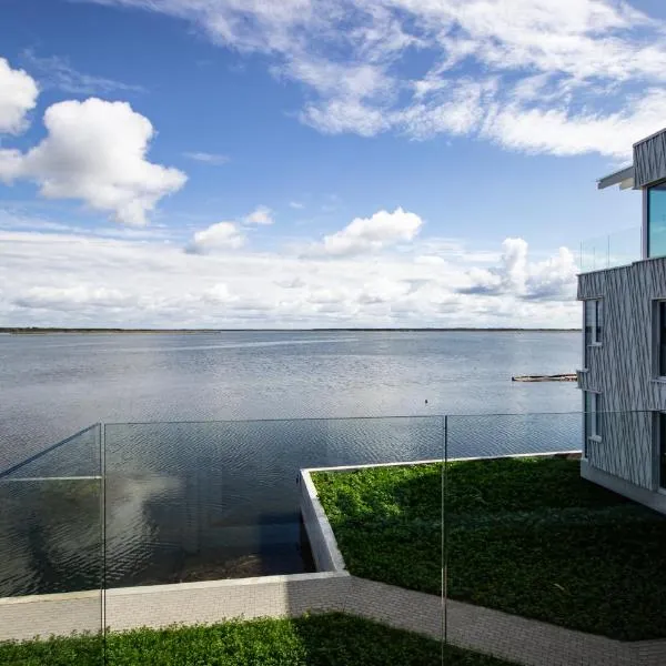 Sadama Guest Apartment，位于哈普萨卢的酒店