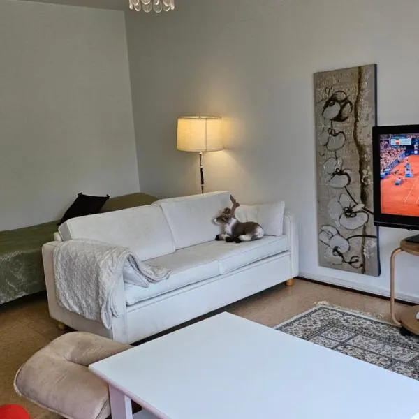 Himoksen naapuri, A3，位于耶姆赛的酒店