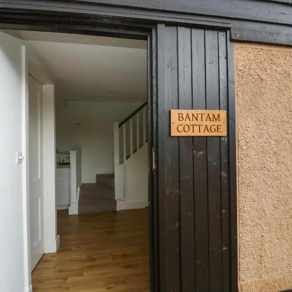Bantam Cottage，位于奥特里圣玛丽的酒店