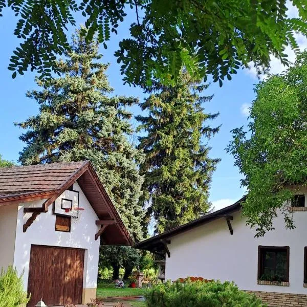 Lassu Tanya Vendégház,位于Nagykőrös的酒店