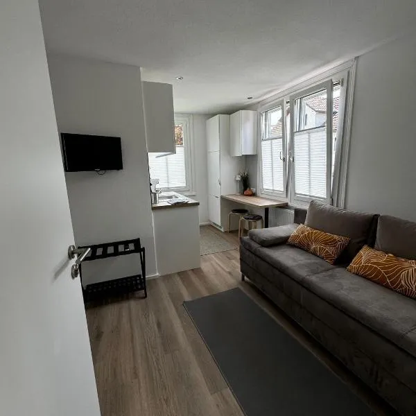 Rheinblick Ferienwohnung，位于霍赫斯特的酒店