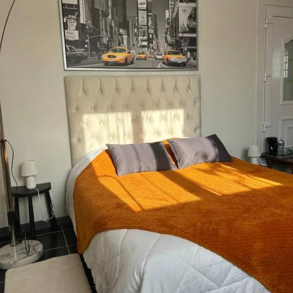 Chambre Louis Armand，位于沙托丹的酒店
