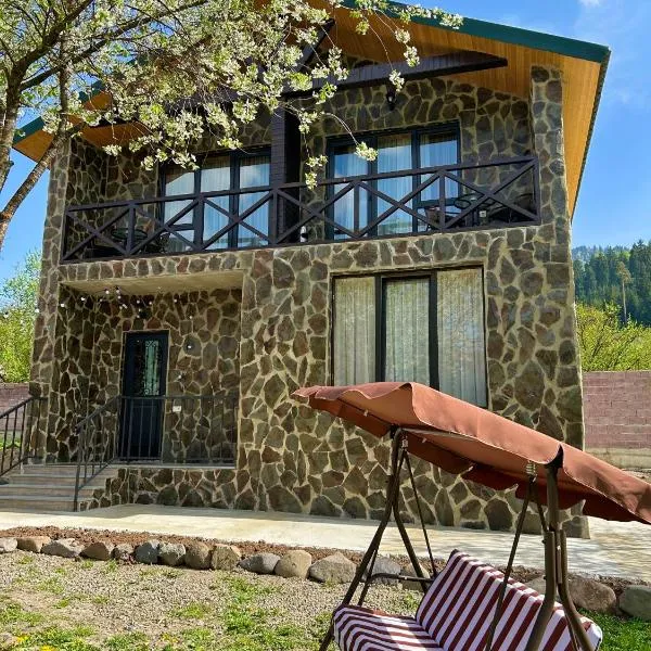 Villa Mzetamze，位于博尔若米的酒店