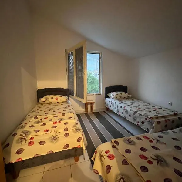 Apartman Tara，位于东吉托伊的酒店