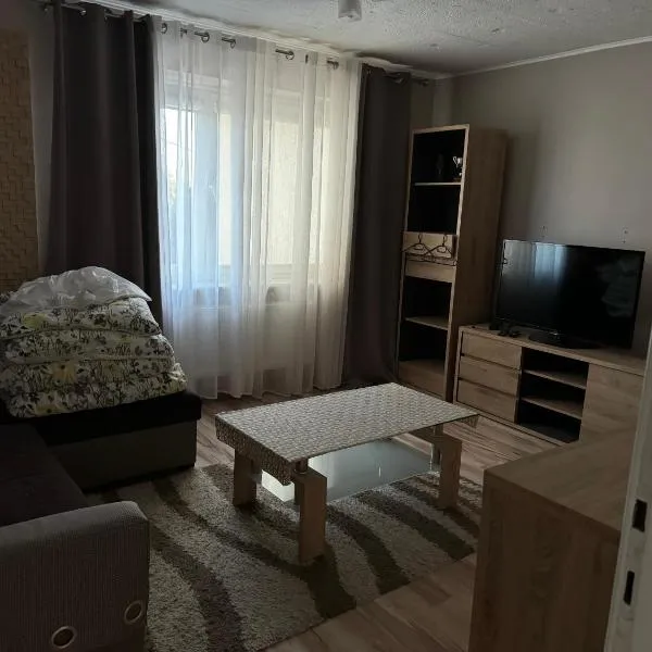 Apartament M6 w Centrum Wiela，位于维勒的酒店