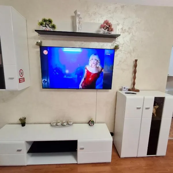 Apartament Alis2011，位于Buzău的酒店