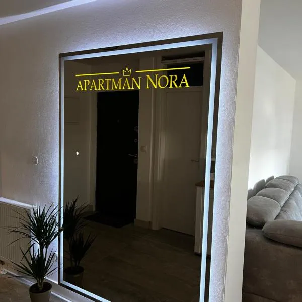 Apartman Nora，位于泰斯利奇的酒店