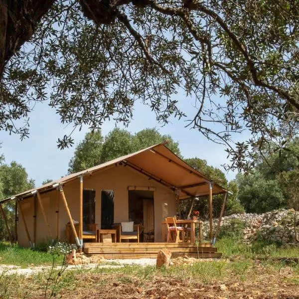 Domus Olea Glamping，位于切列梅萨皮卡的酒店