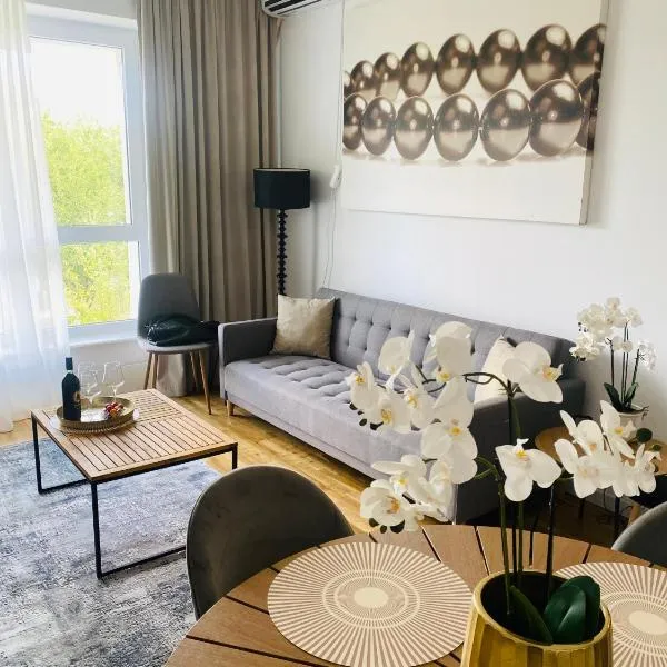 Muha ApartHotel，位于苏恰瓦的酒店