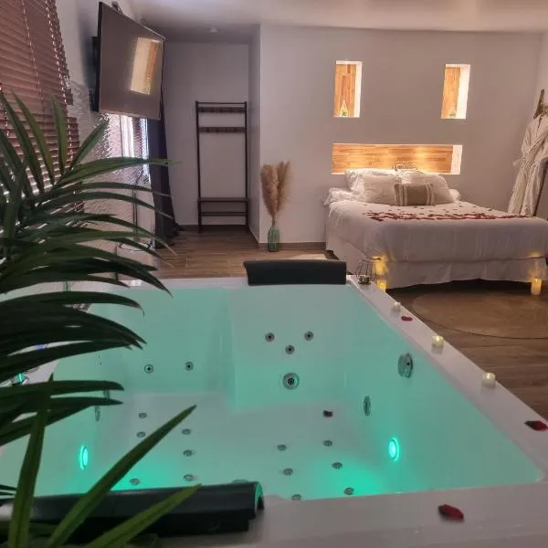 Loft jacuzzi jardin privatif Val d'Oise 10 m Paris et stade de france，位于蓬图瓦兹的酒店