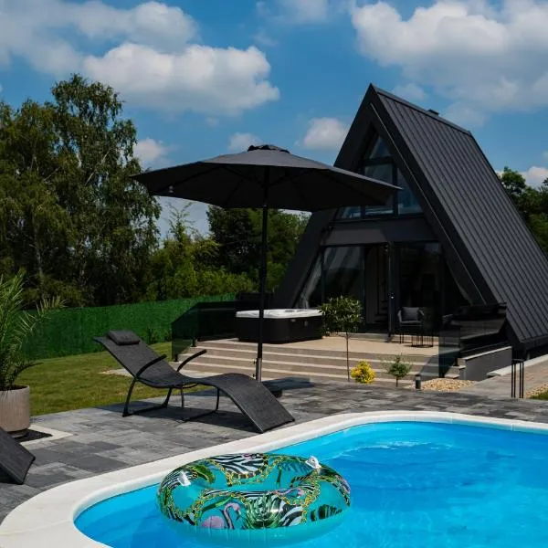 Nikis House Luxury Pool - Spa Villa，位于Ba°evac的酒店