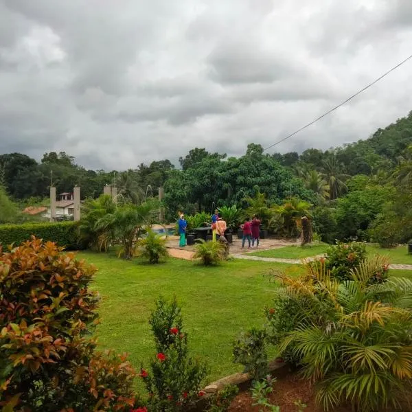 Rock View Inn，位于帕杜克的酒店