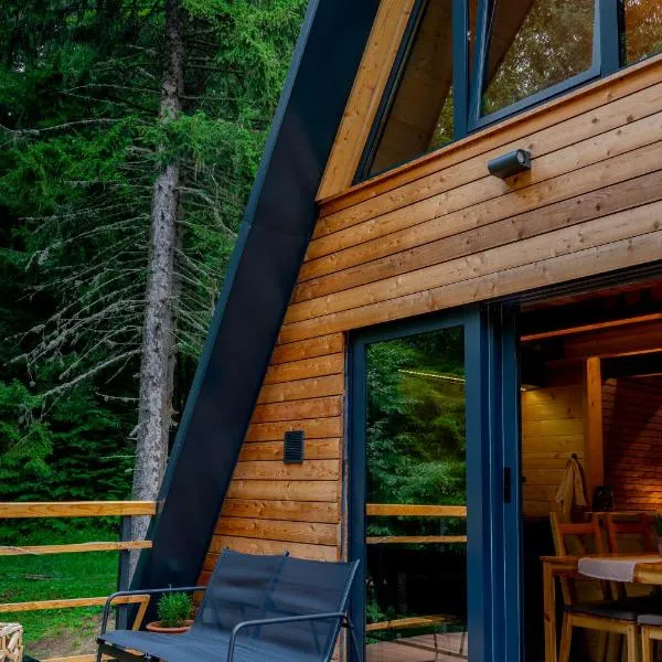 Viktorija chalet，位于科帕奥尼克的酒店