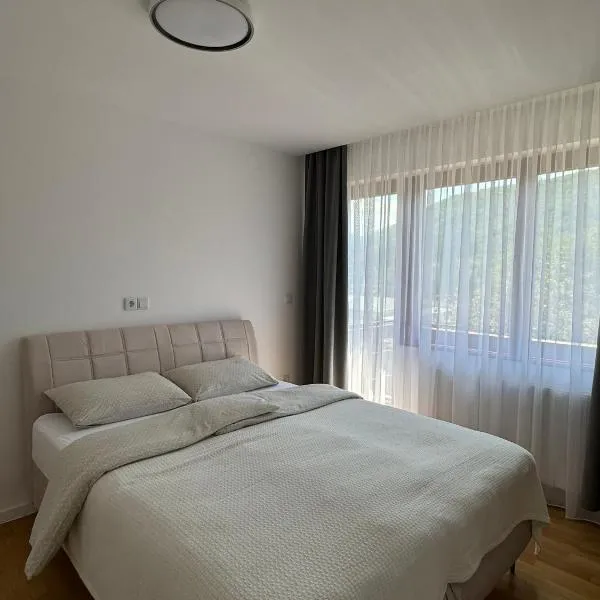 Apartmani Bare，位于亚伊采的酒店