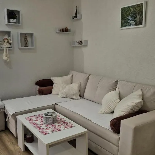 Apartman Kraljevici，位于Goranci的酒店