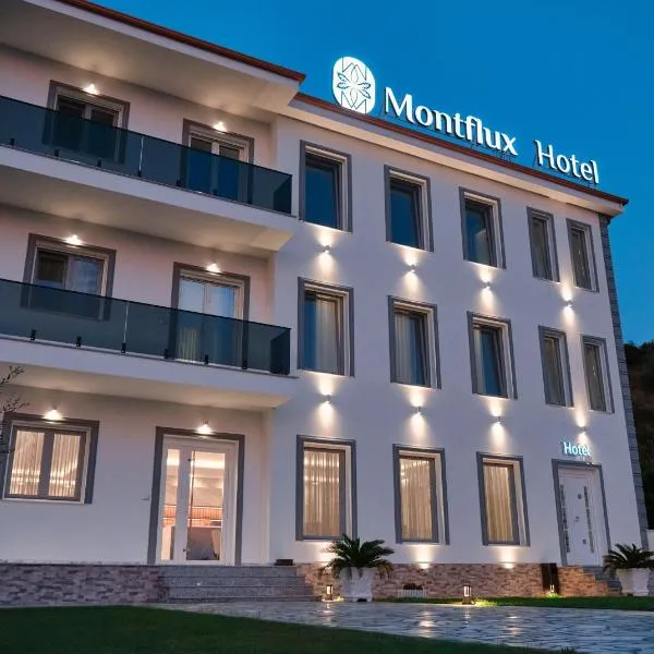 Montflux Hotel，位于斯库台的酒店