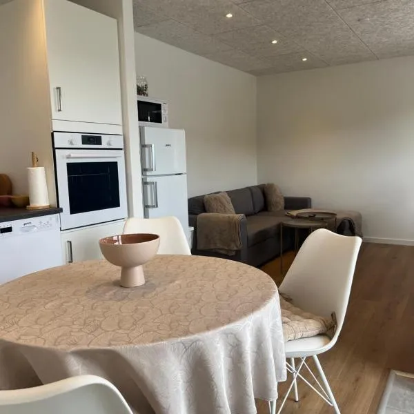 Apartment for 4 in the heart of Billund，位于Hejnsvig的酒店