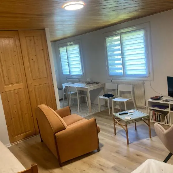 Studio Villard de Lans - Vercors，位于维拉尔-德朗的酒店