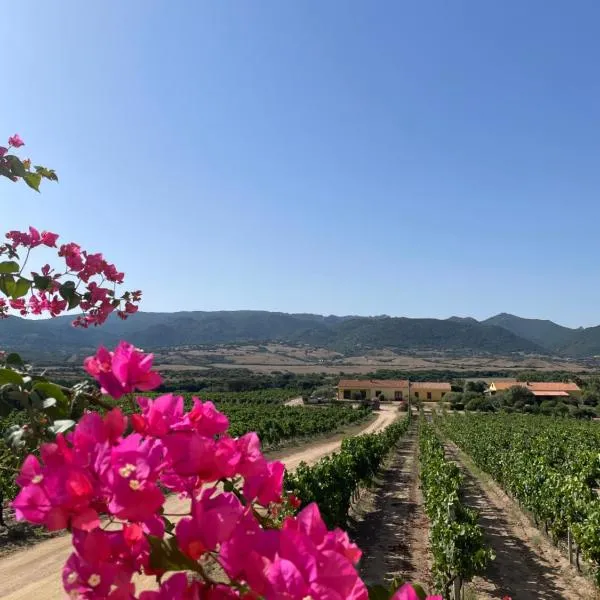 Agriturismo Campesi casale tra le vigne，位于Calangianus的酒店