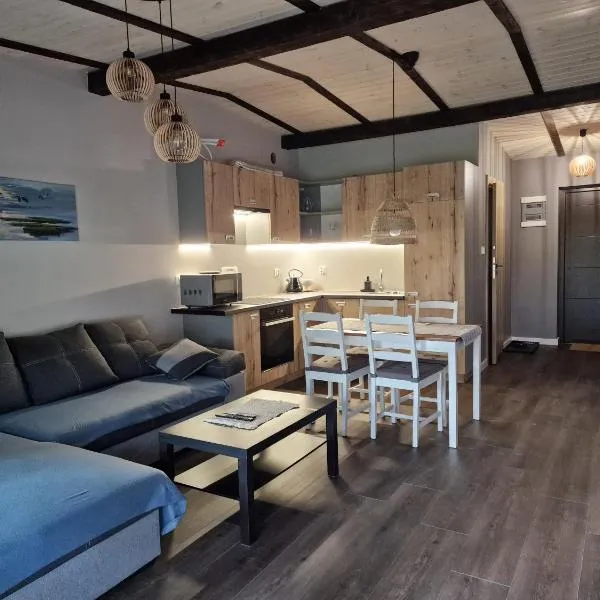 Apartament Sosny 2,3 nad jeziorem OTW Borówno Wielkie，位于Skarszewy的酒店