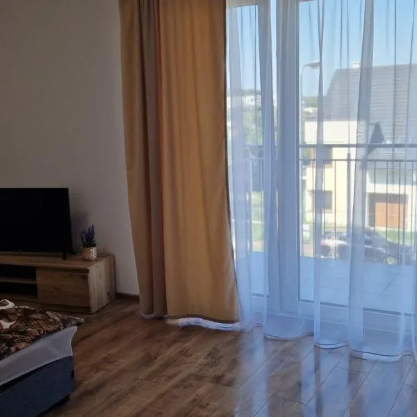 Apartament Słoneczny，位于奥得河畔科斯琴的酒店