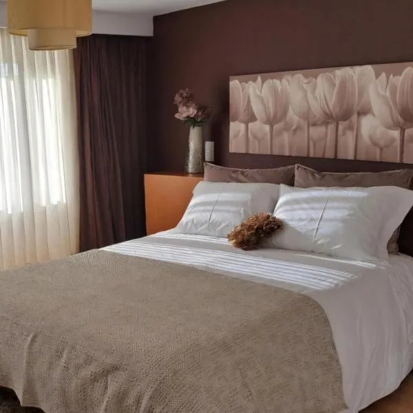 Casa da Praça，位于米兰达·杜·杜罗的酒店