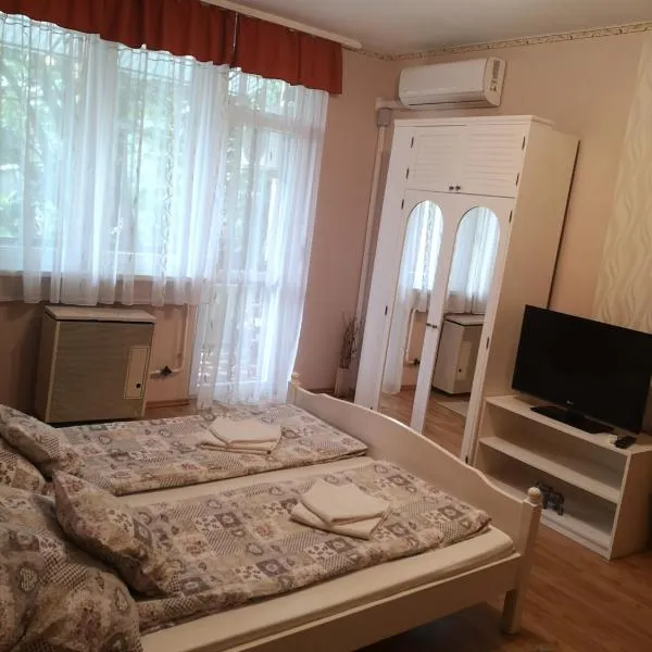 Natasa Apartman，位于Nagyszénás的酒店