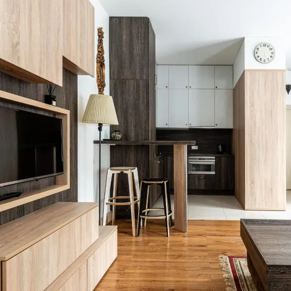 Gusto Apartment，位于考纳斯的酒店