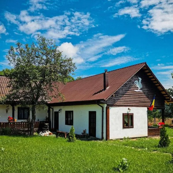 Pensiunea Cocoș，位于Spulber的酒店