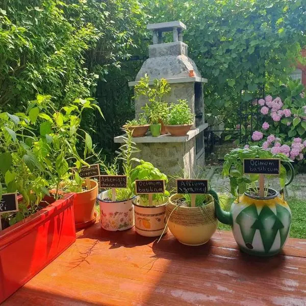 Green Garden Home，位于采尔克尼察的酒店