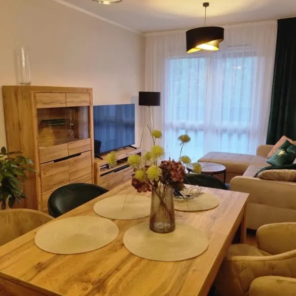 Apartament 55 z miejscem w garażu，位于托伦的酒店