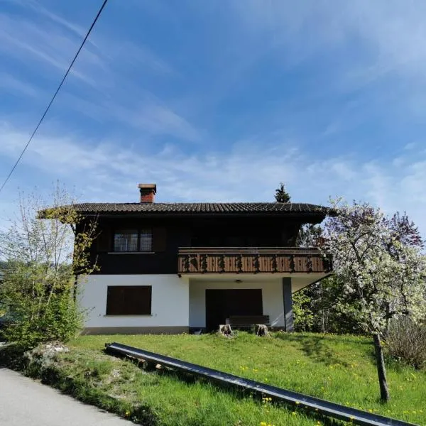 Ferienhaus Buchen，位于施瓦岑贝格的酒店