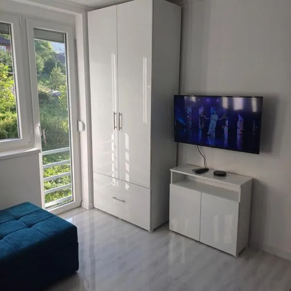 Apartman Krezovic，位于Vlasenica的酒店
