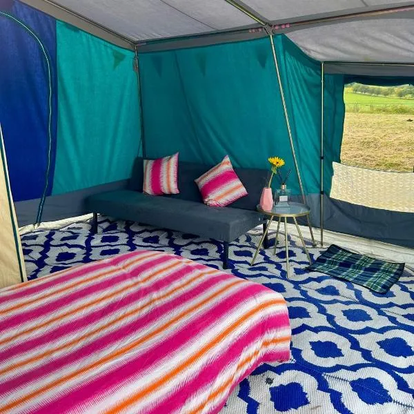 Goldings Farm riverside prepitched camping，位于赫特福德的酒店