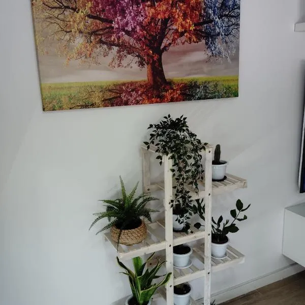 Apartamento Plaza Palmeras，位于布尔哈索特的酒店