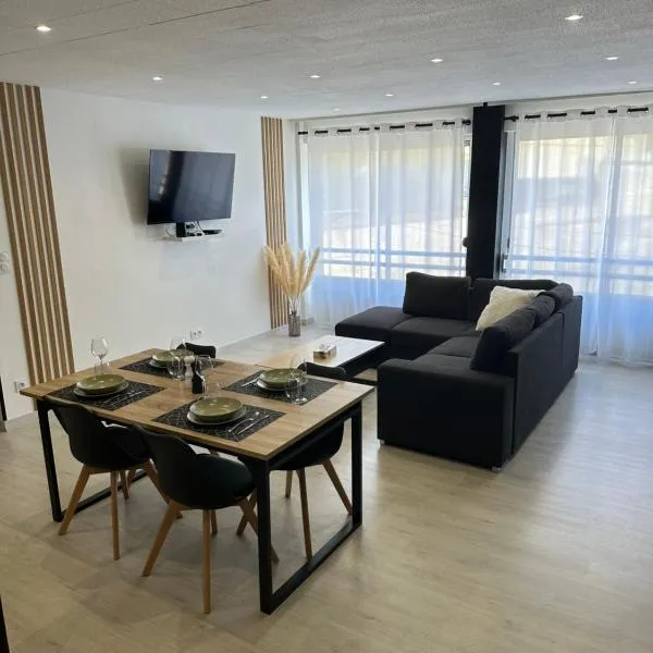 Grand appartement Roanne centre，位于罗阿纳的酒店