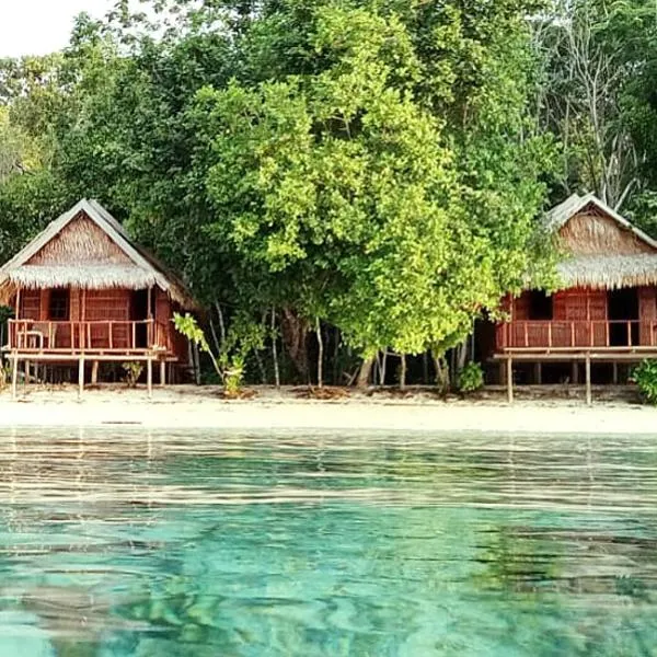 Risen Raja Ampat，位于Pulau Birie的酒店