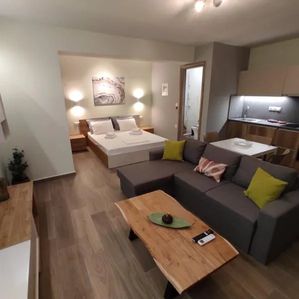 Aliki's Studio 1，位于卡兰巴卡的酒店