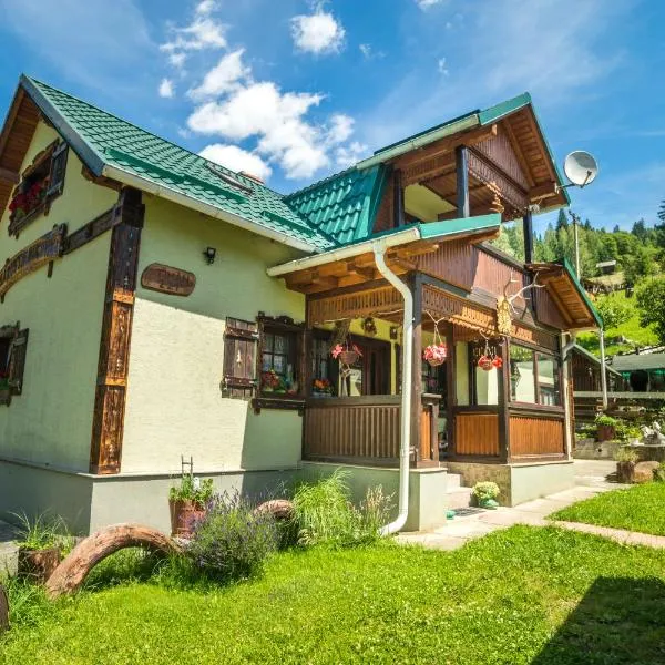 Casa Rustik Bucovina，位于Cîrlibaba的酒店