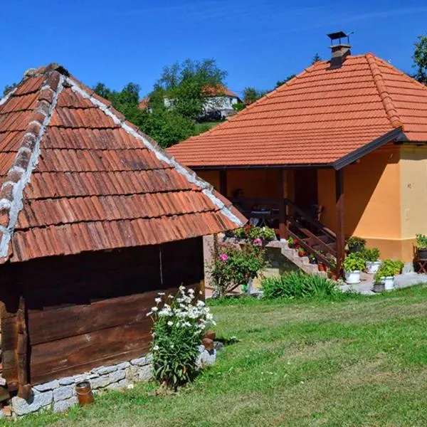 Seosko domacinstvo Gardic，位于乌日策的酒店