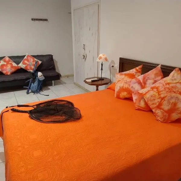 坎玛索特旅馆，位于Anglés的酒店