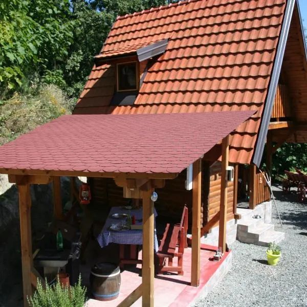 Seoski Turizam Feniks apartman Davidovi Psalmi，位于Kosjerić的酒店