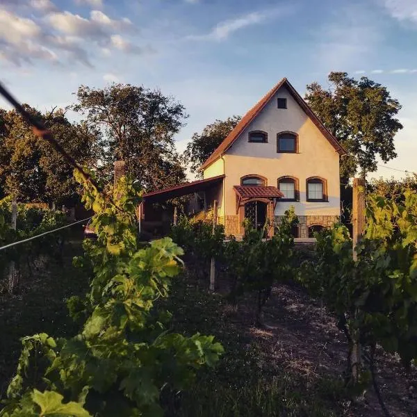 Ubytování ve vinném sklepě - Velké Bílovice，位于大比洛维采的酒店
