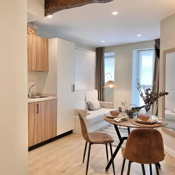 Apartamentos Boutique ALTZOAN & Parking FREE，位于扎鲁亚斯的酒店